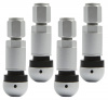 pol_pl_Zawory-Wentyle-pod-czujnik-cisnienia-Beru-TPMS-06-4-sztuki-3791_5[1]