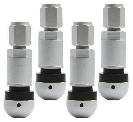 pol_pl_Zawory-Wentyle-pod-czujnik-cisnienia-Beru-TPMS-06-4-sztuki-3791_5[1]