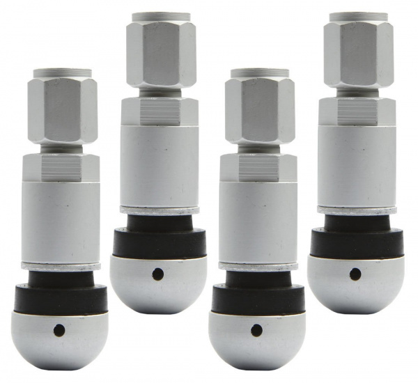 pol_pl_Zawory-Wentyle-pod-czujnik-cisnienia-Beru-TPMS-06-4-sztuki-3791_5[1]