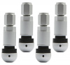pol_pl_Zawor-Wentyl-do-czujnika-cisnienia-BERU-TPMS-05-4-sztuki-3789_6[1]