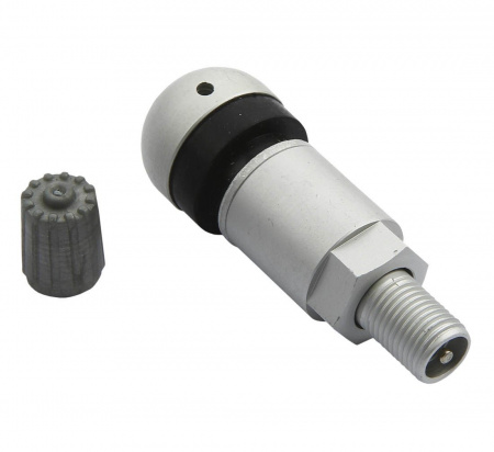 pol_pl_Zawor-Wentyl-do-czujnika-cisnienia-BERU-TPMS-01-4-sztuki-3785_3[1]