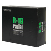 R-19 2