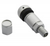 pol_pl_Zawory-Wentyle-pod-czujnik-cisnienia-Beru-TPMS-06-4-sztuki-3791_3[1]