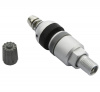 pol_pl_Zawor-Wentyl-do-czujnika-cisnienia-BERU-TPMS-02-4-sztuki-3786_2[1]
