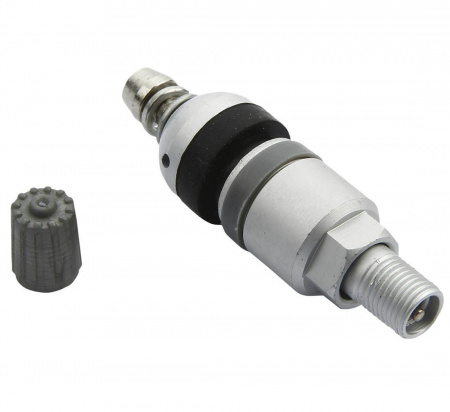 pol_pl_Zawor-Wentyl-do-czujnika-cisnienia-BERU-TPMS-02-4-sztuki-3786_2[1]