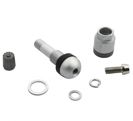 pol_pl_Zawor-Wentyl-do-czujnika-cisnienia-BERU-TPMS-02-4-sztuki-3786_4[1]