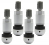 pol_pl_Zawor-Wentyl-do-czujnika-cisnienia-BERU-TPMS-01-4-sztuki-3785_6[1]