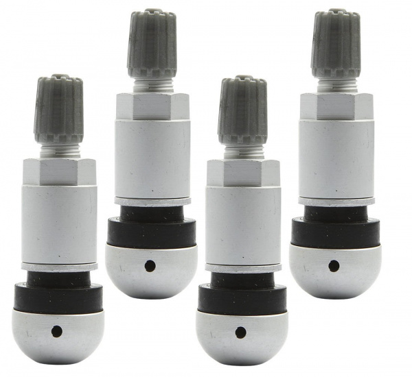 pol_pl_Zawor-Wentyl-do-czujnika-cisnienia-BERU-TPMS-01-4-sztuki-3785_6[1]