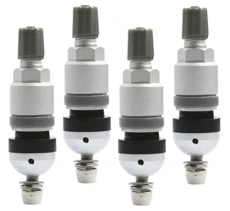pol_pl_Zawor-Wentyl-do-czujnika-cisnienia-BERU-TPMS-02-4-sztuki-3786_7[1]