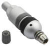 pol_pl_Zawor-Wentyl-do-czujnika-cisnienia-BERU-TPMS-02-4-sztuki-3786_1[1]