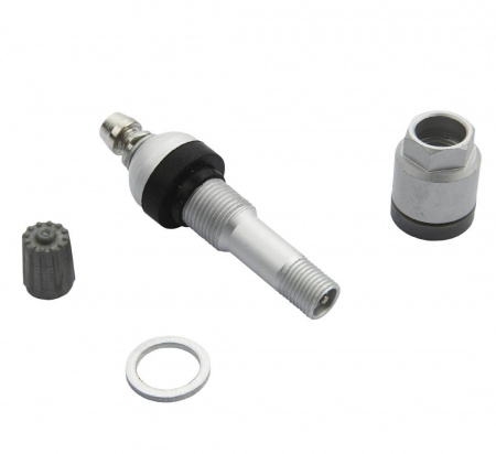 pol_pl_Zawor-Wentyl-do-czujnika-cisnienia-BERU-TPMS-02-4-sztuki-3786_3[1]