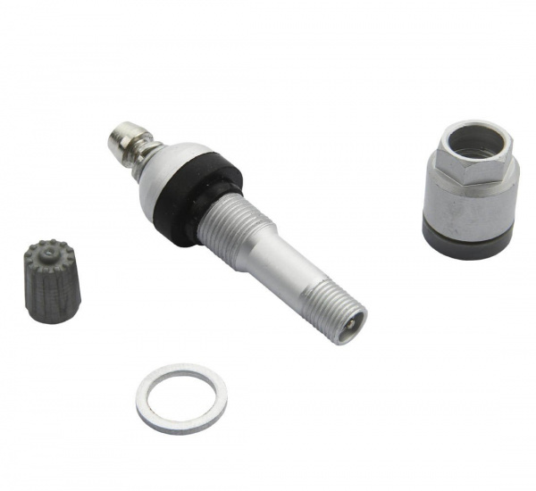 pol_pl_Zawor-Wentyl-do-czujnika-cisnienia-BERU-TPMS-02-4-sztuki-3786_3[1]