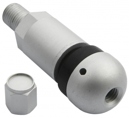 pol_pl_Zawor-Wentyl-do-czujnika-cisnienia-BERU-TPMS-05-4-sztuki-3789_1[1]