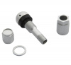 pol_pl_Zawor-Wentyl-do-czujnika-cisnienia-BERU-TPMS-05-4-sztuki-3789_4[1]