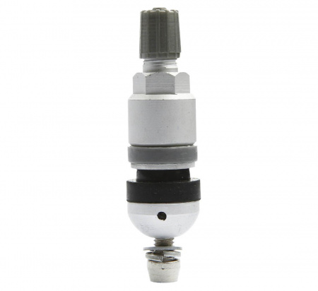 pol_pl_Zawor-Wentyl-do-czujnika-cisnienia-BERU-TPMS-02-4-sztuki-3786_5[1]